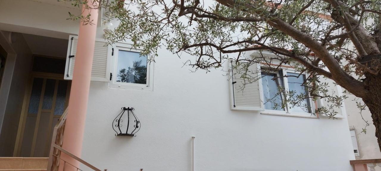 Olive Tree Zadar Exterior foto